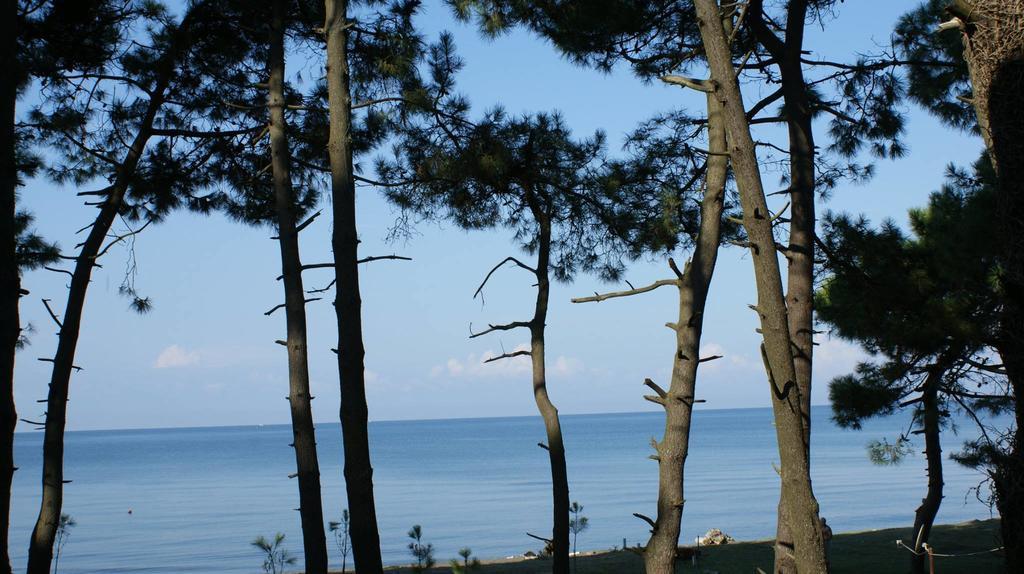 Mana-Mana Hotell Grigoleti Rom bilde